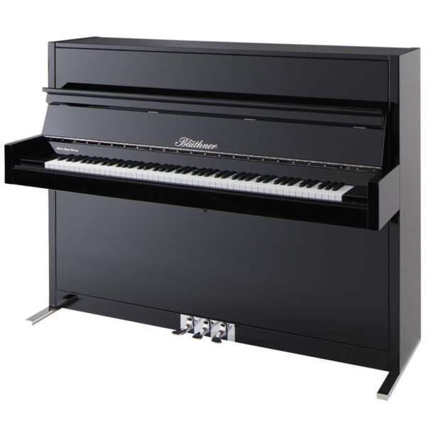 Blüthner Model D